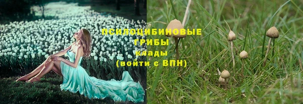 наркотики Алексин